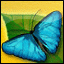 Mily-Mihailov